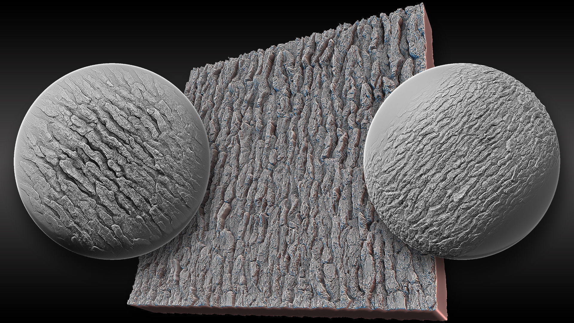 Ultra HQ Tree Bark Sculpt Zbrush brushes and Alphas Vol2 Texture_10