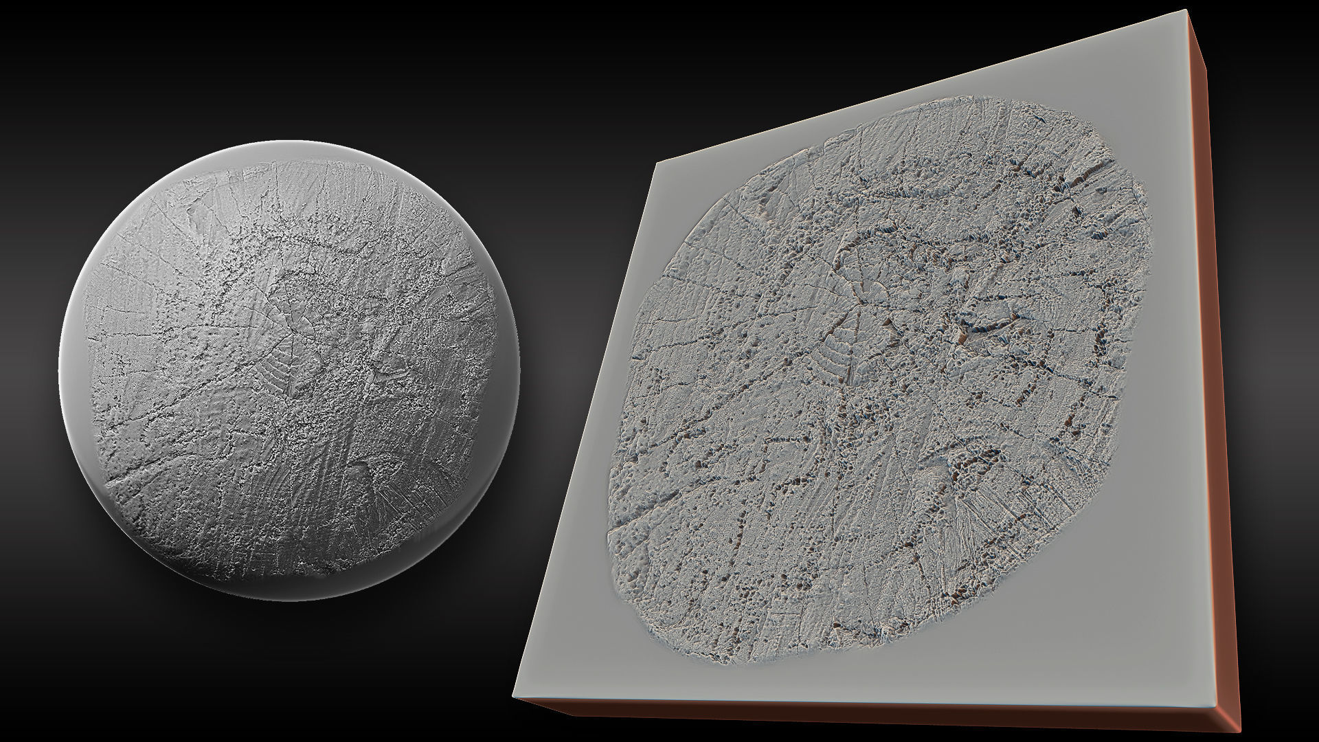 Ultra HQ Tree Bark Sculpt Zbrush brushes and Alphas Vol2 Texture_5