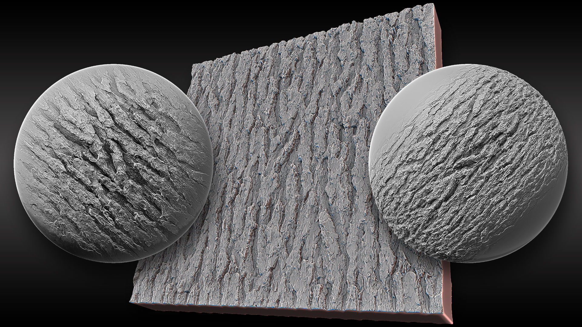 Ultra HQ Tree Bark Sculpt Zbrush brushes and Alphas Vol2 Texture_22