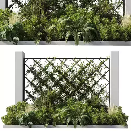Outdoor garden plant set 153 - Ivy on Fence