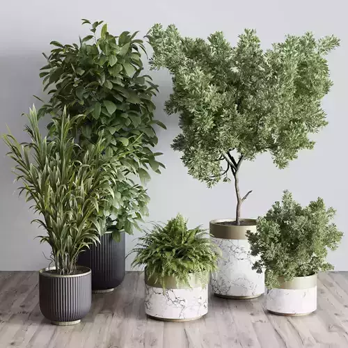 Indoor plant set 363 stone vase plant tree shrub 