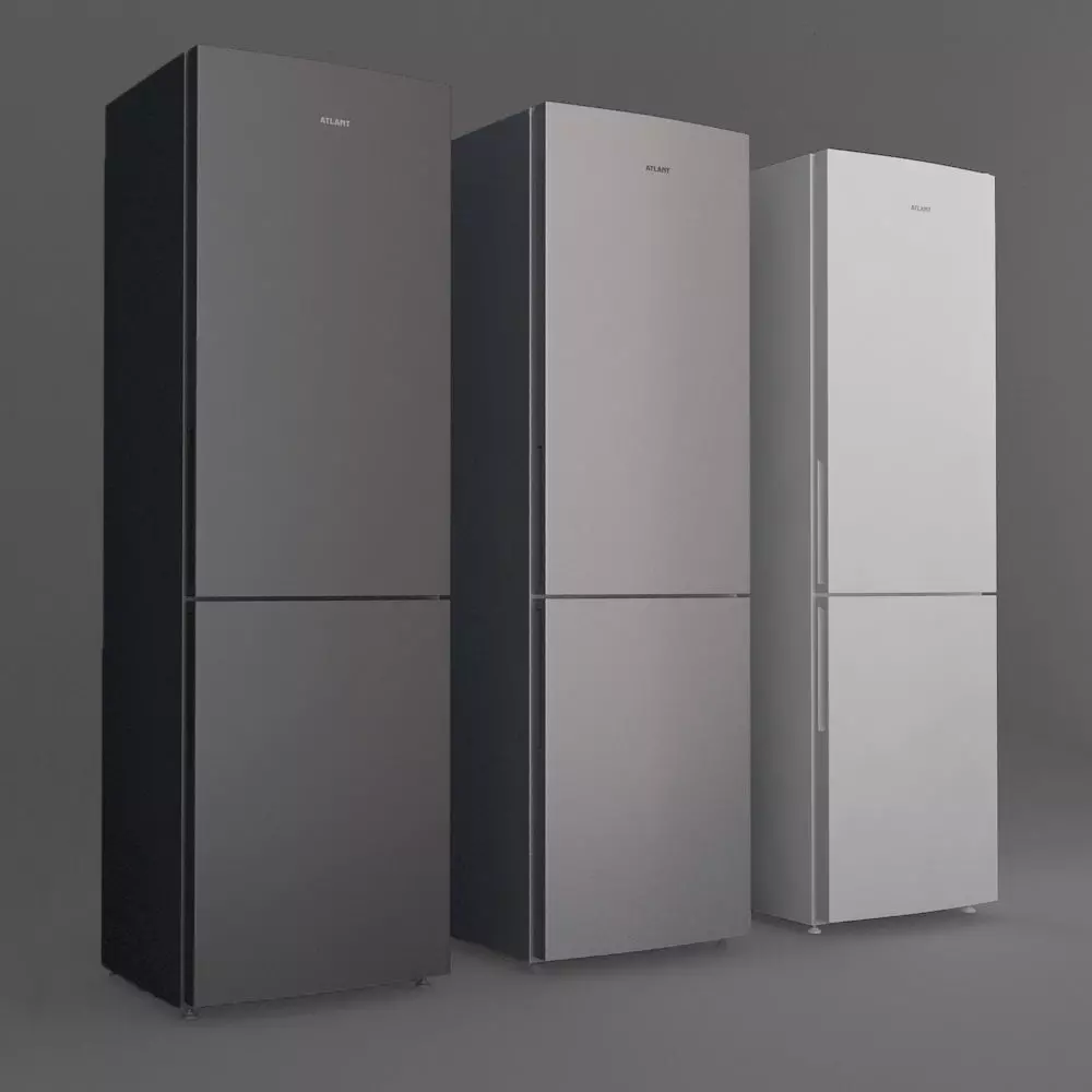 Fridge Free 3D model