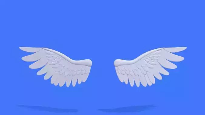 Stylized Angel Wings