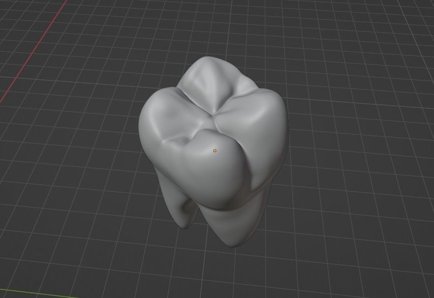 Anatomy of teeth with roots 3D print model_6