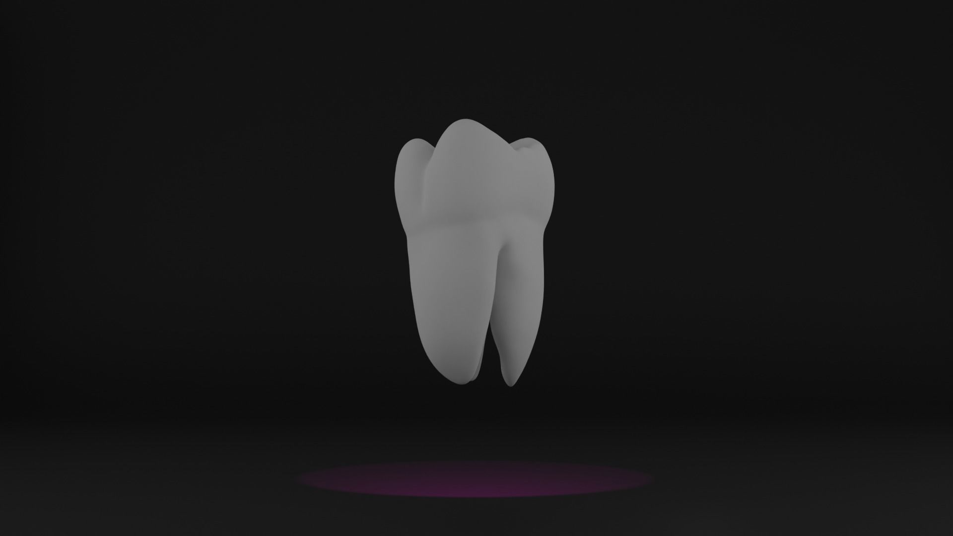 Anatomy of teeth with roots 3D print model_4