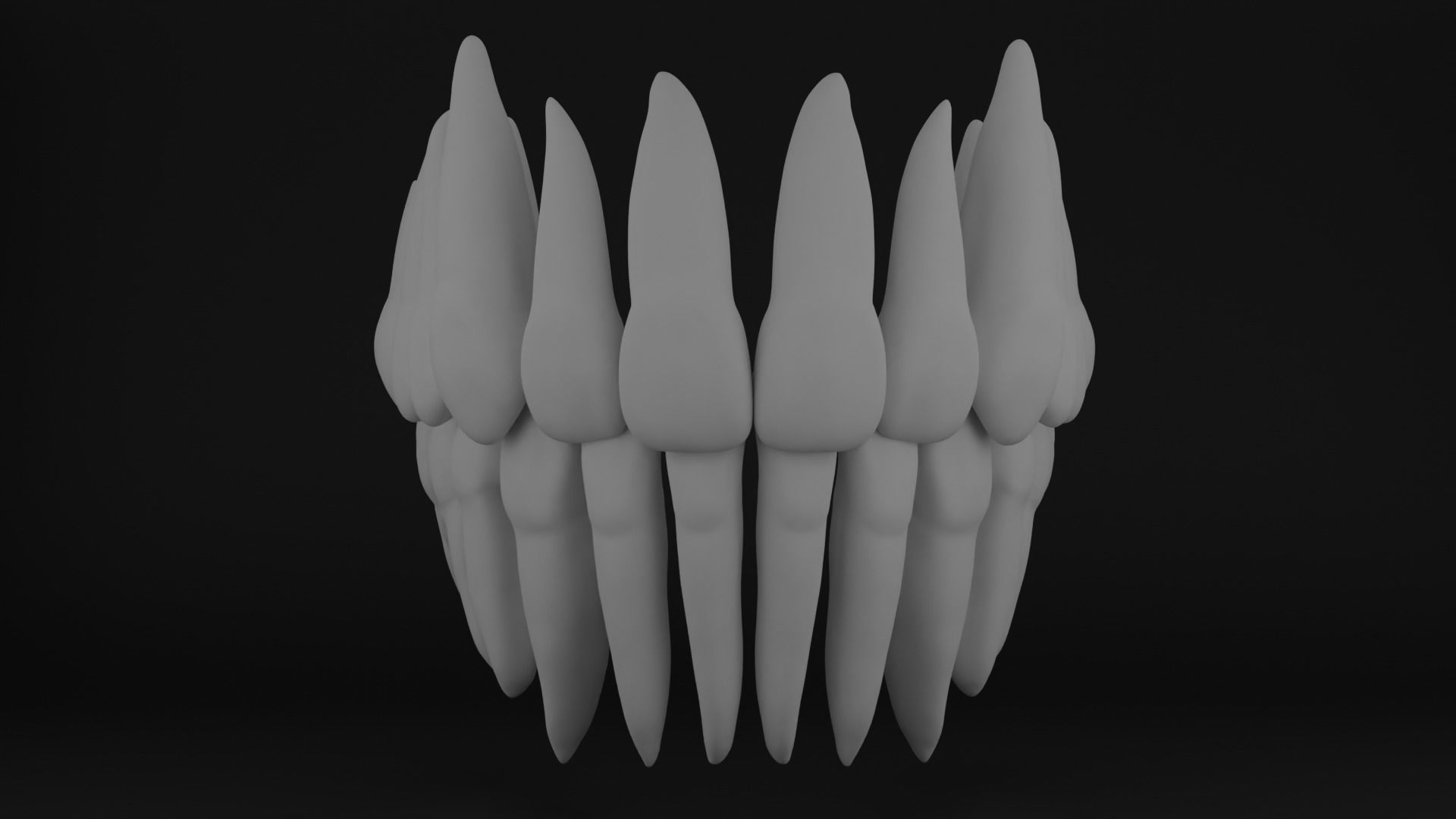 Anatomy of teeth with roots 3D print model_1