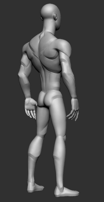Basemesh Stylized 3D model_6