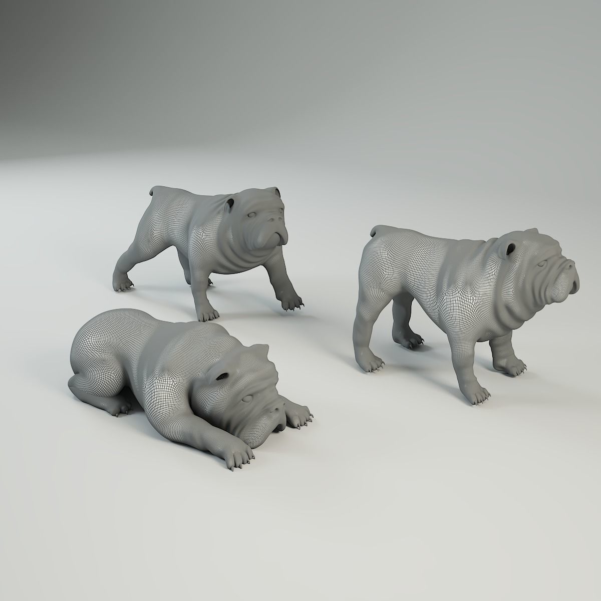 dog 3d model Low-poly 3D model_3