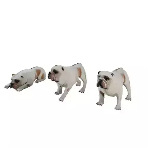 dog 3d model