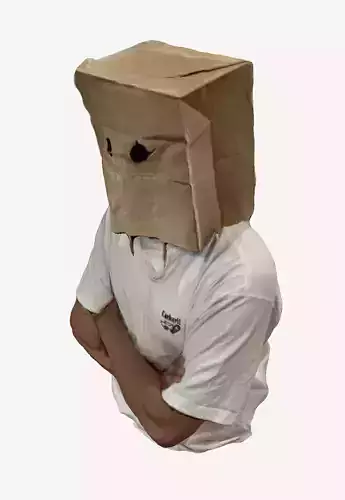 Guy with bag on his head 3D print model