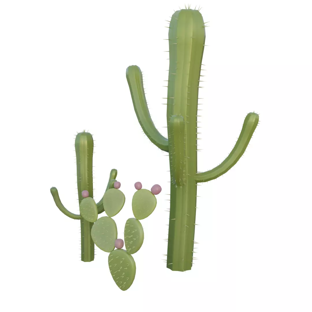 Cactus 3D Prop - Asset 3D model_0