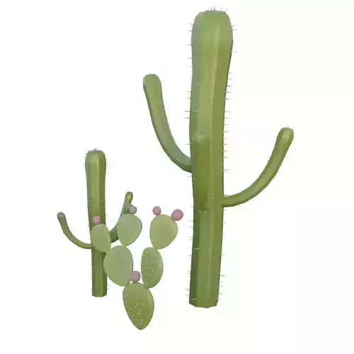 Cactus 3D Prop - Asset