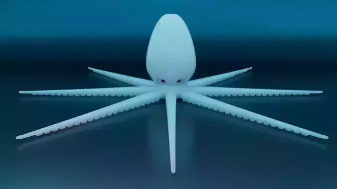 Octopus
