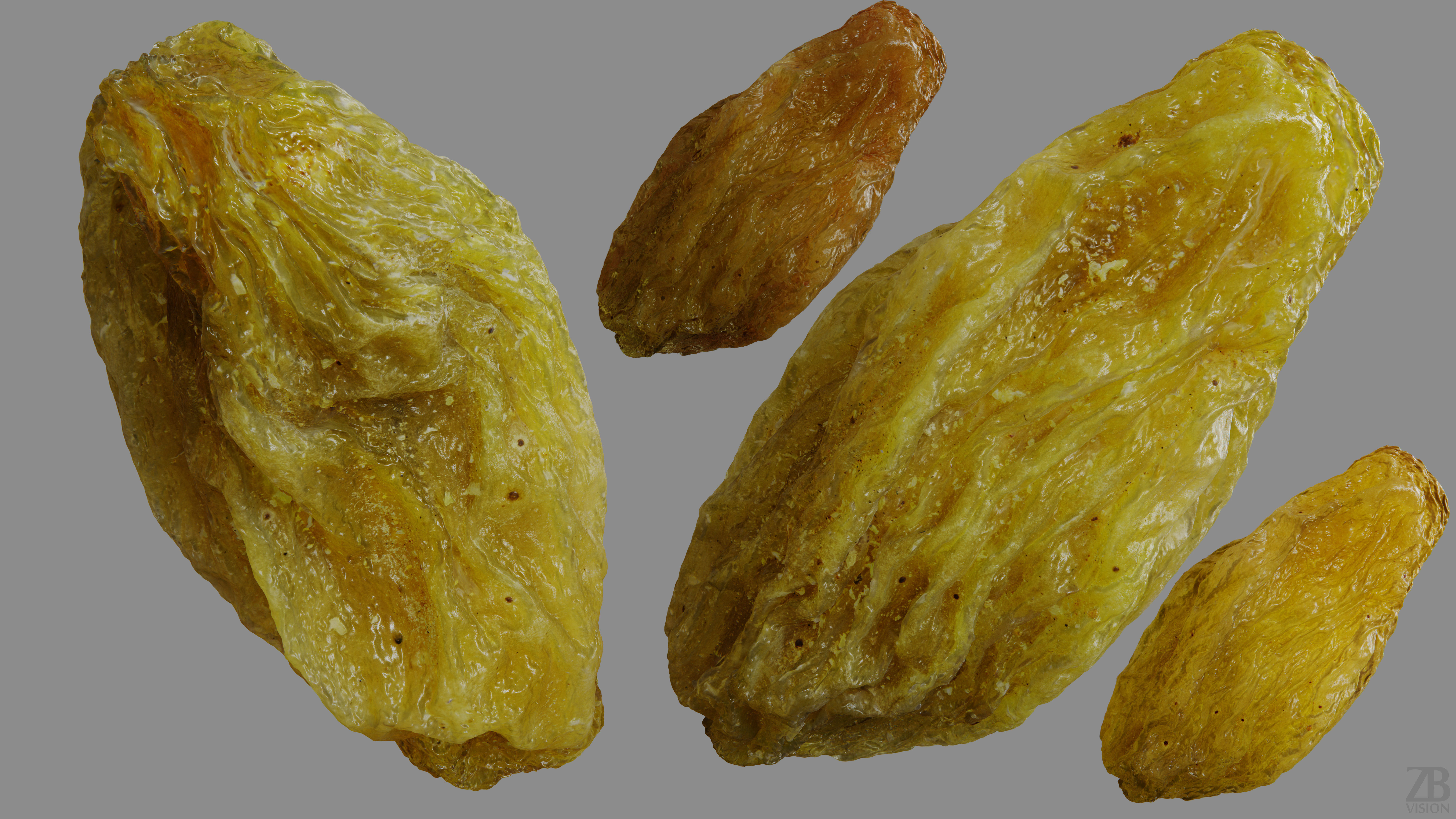Raisin 3D model_9