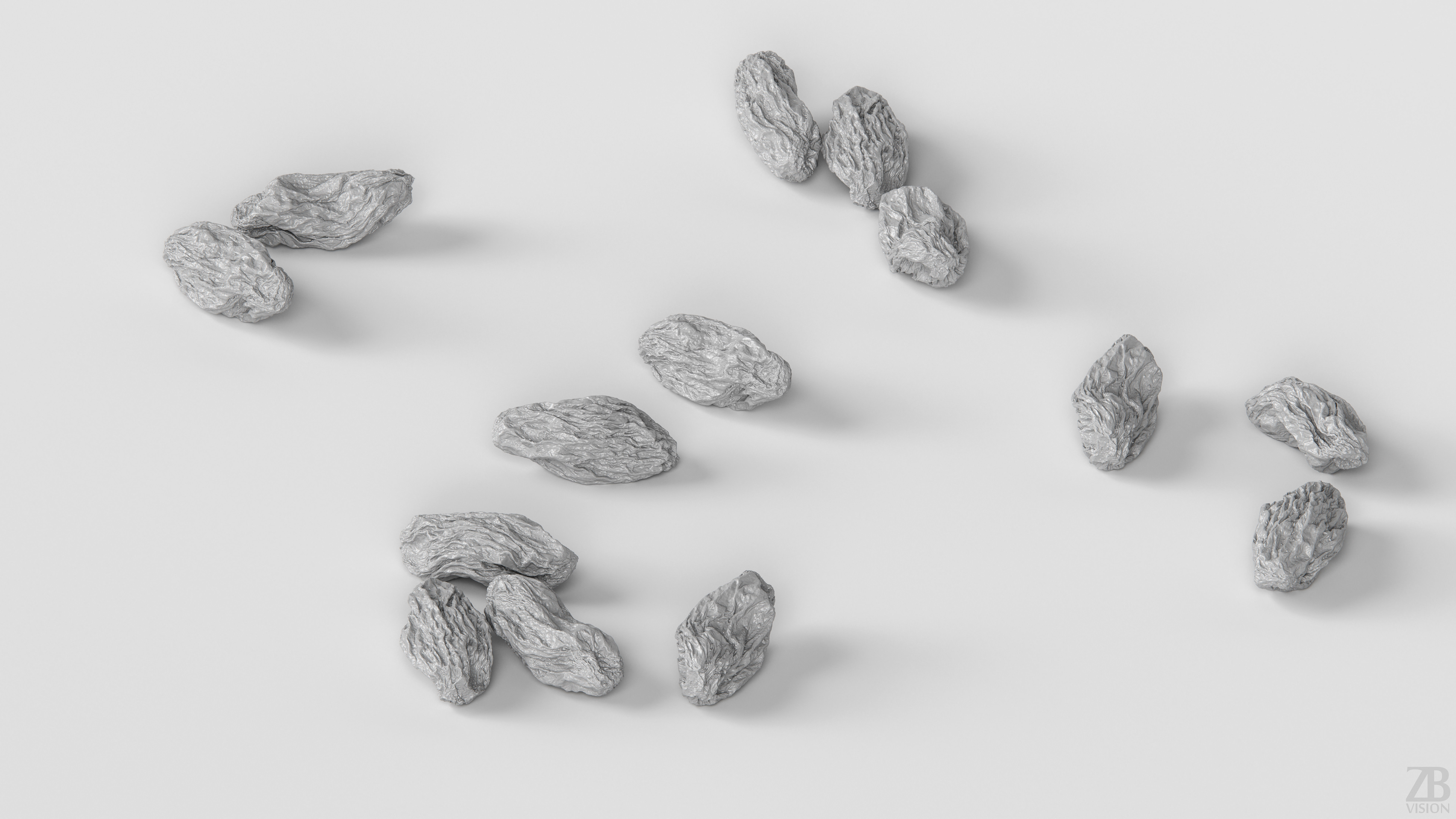 Raisin 3D model_3