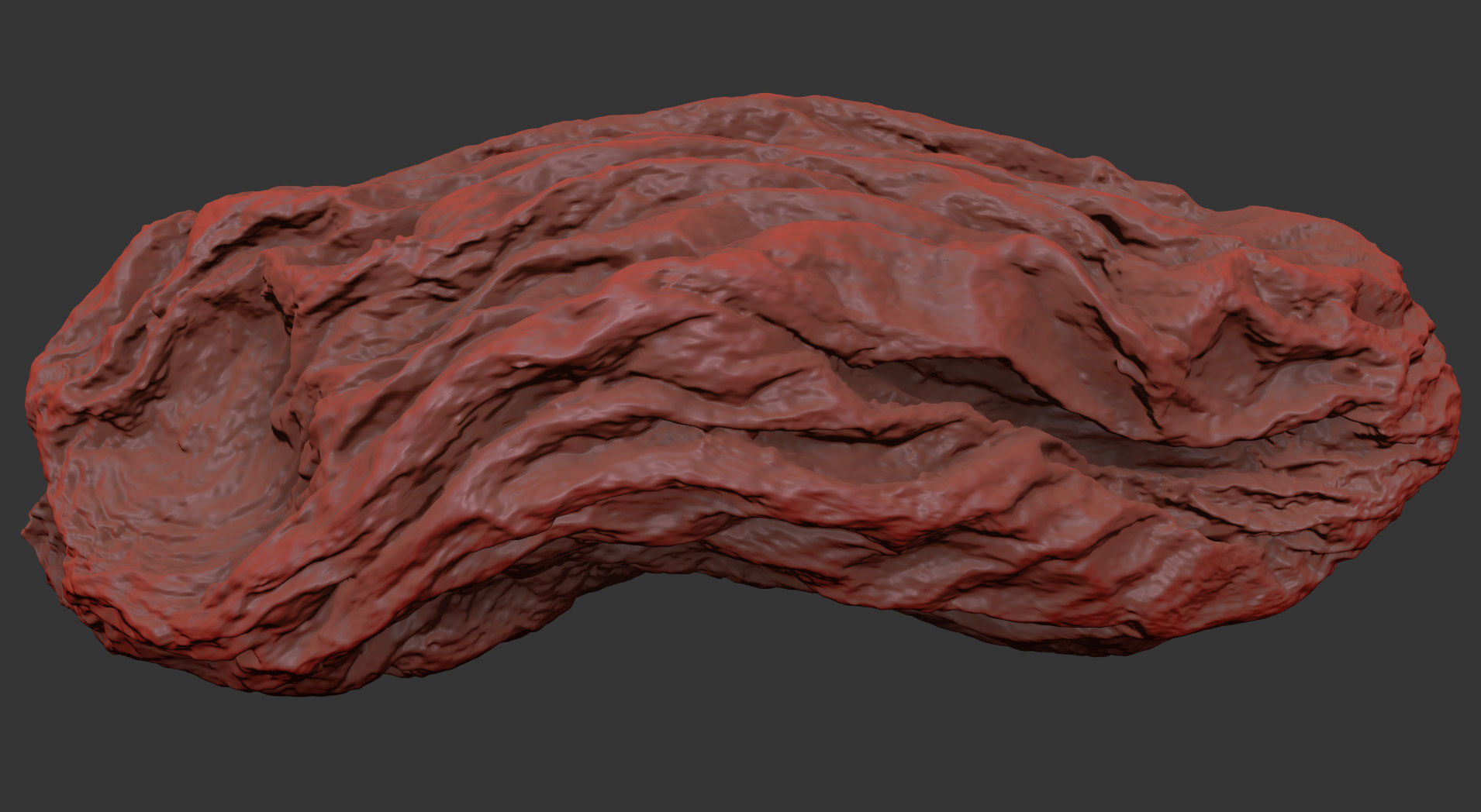 Raisin 3D model_7