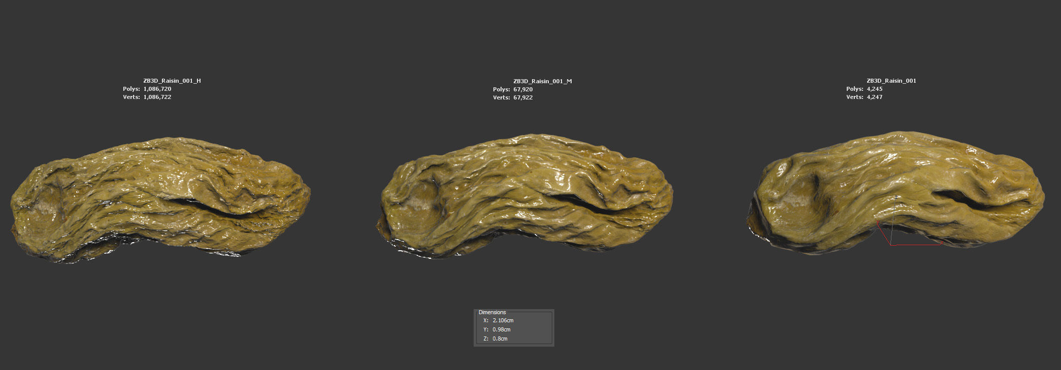 Raisin 3D model_5