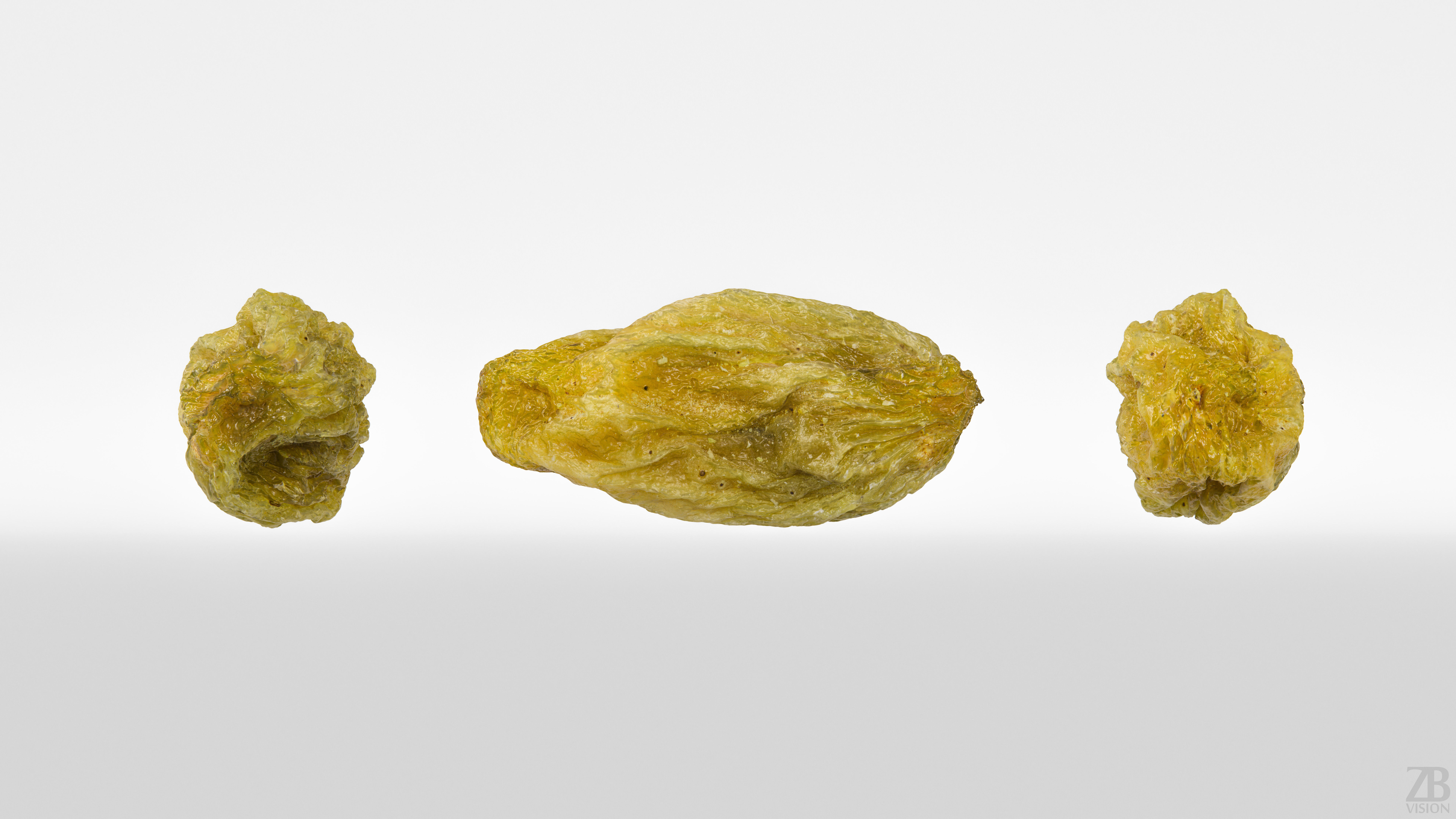 Raisin 3D model_4