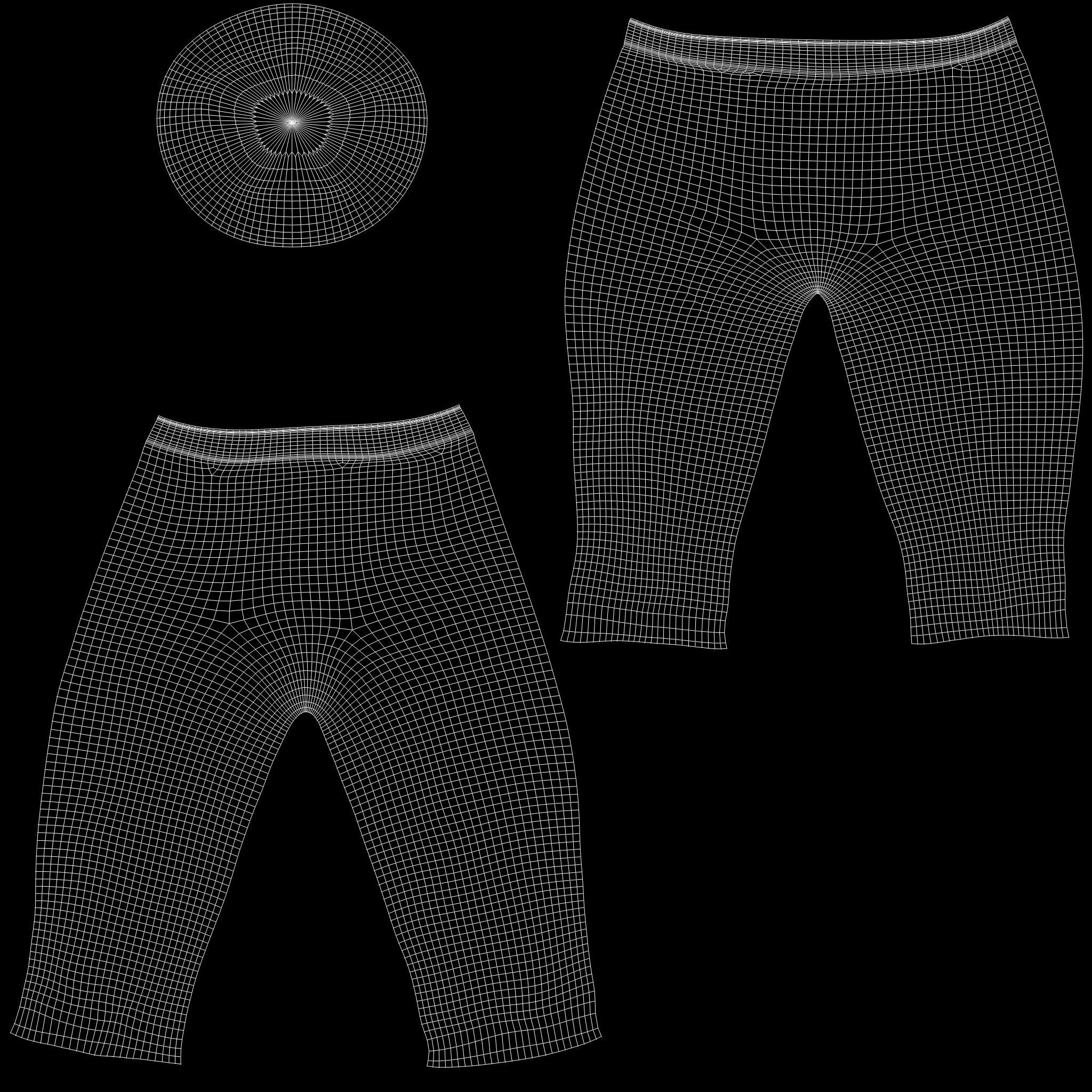 Special Short Pants Low-poly 3D model_13