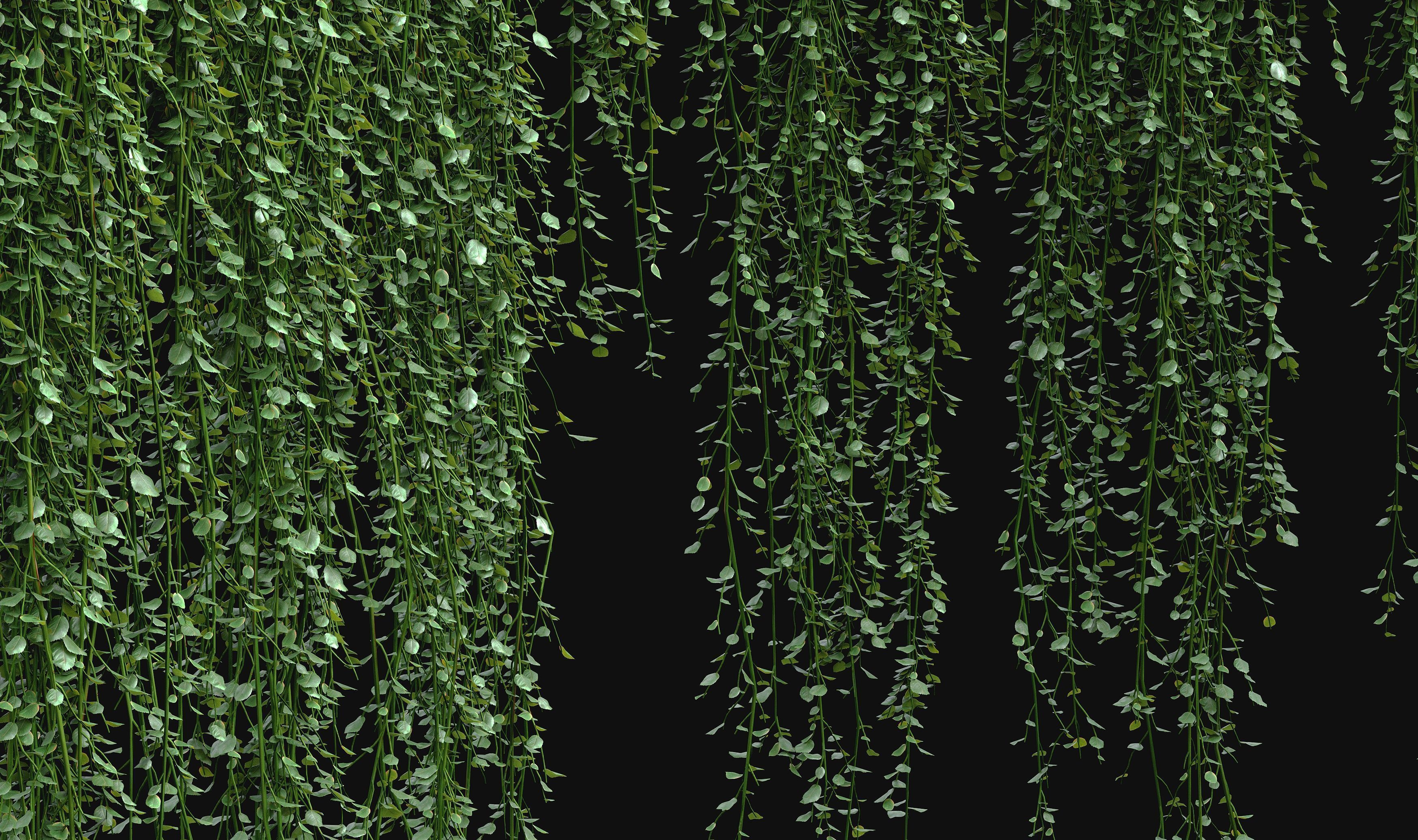 Hanging ivy plants 3D model_6