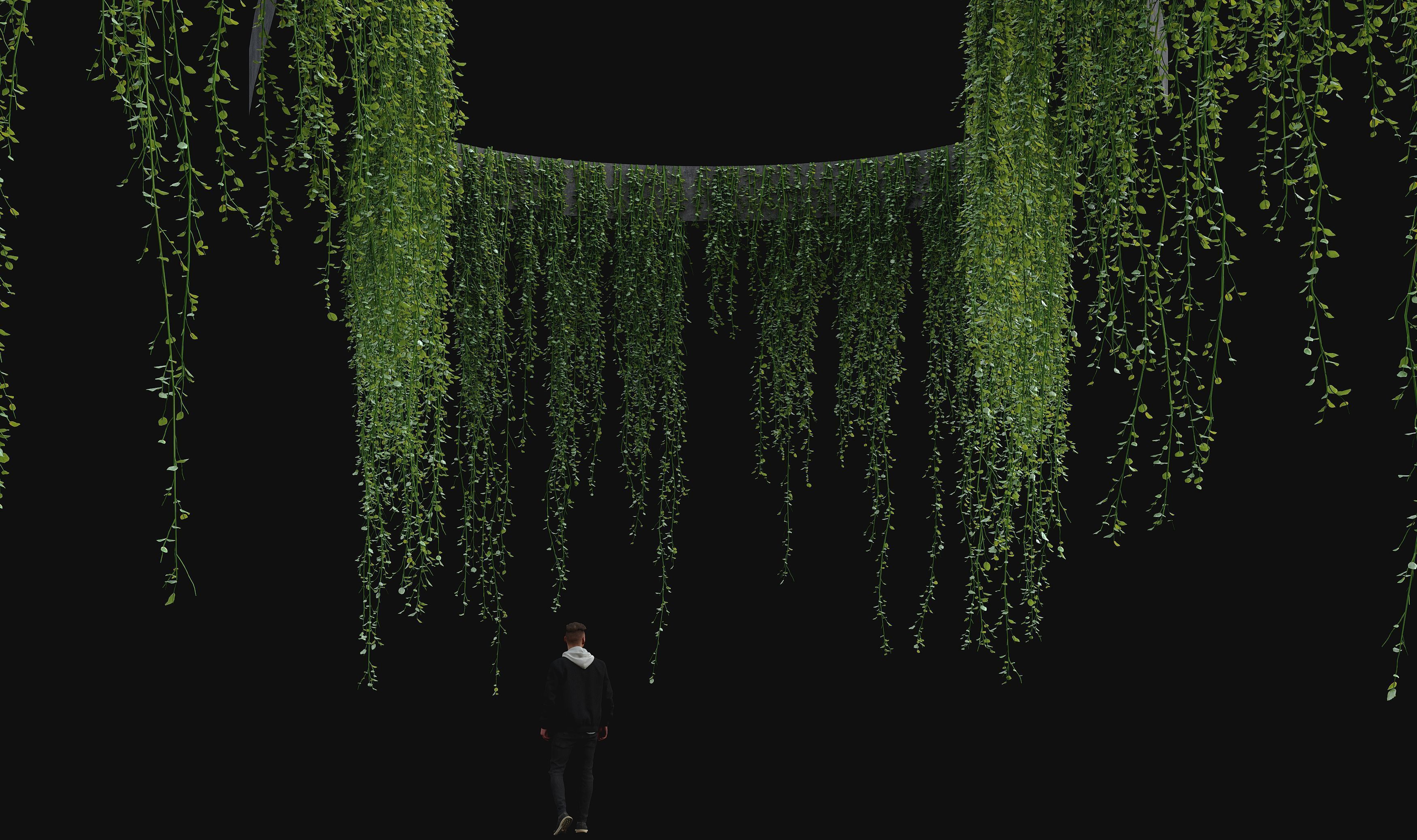 Hanging ivy plants 3D model_2