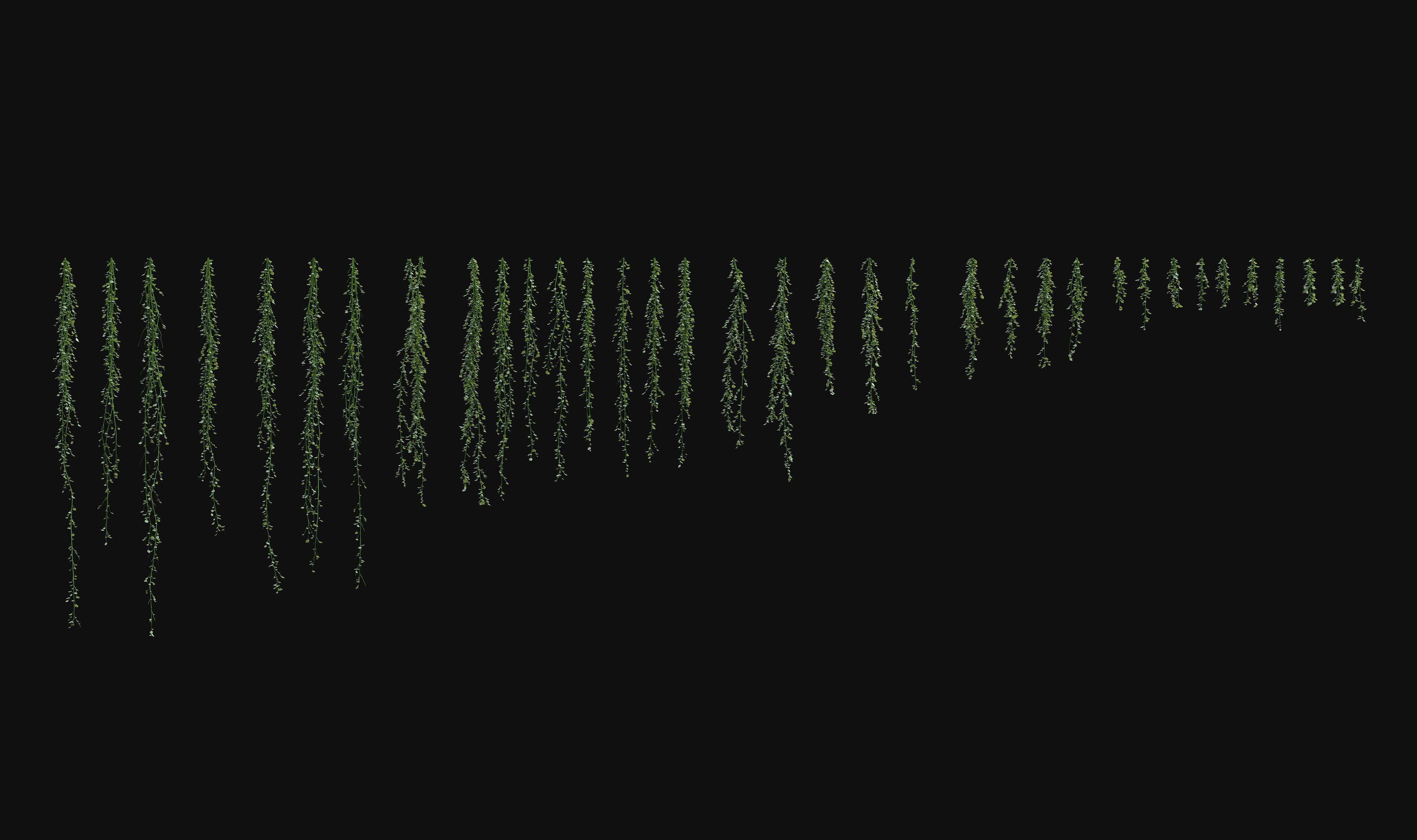 Hanging ivy plants 3D model_10