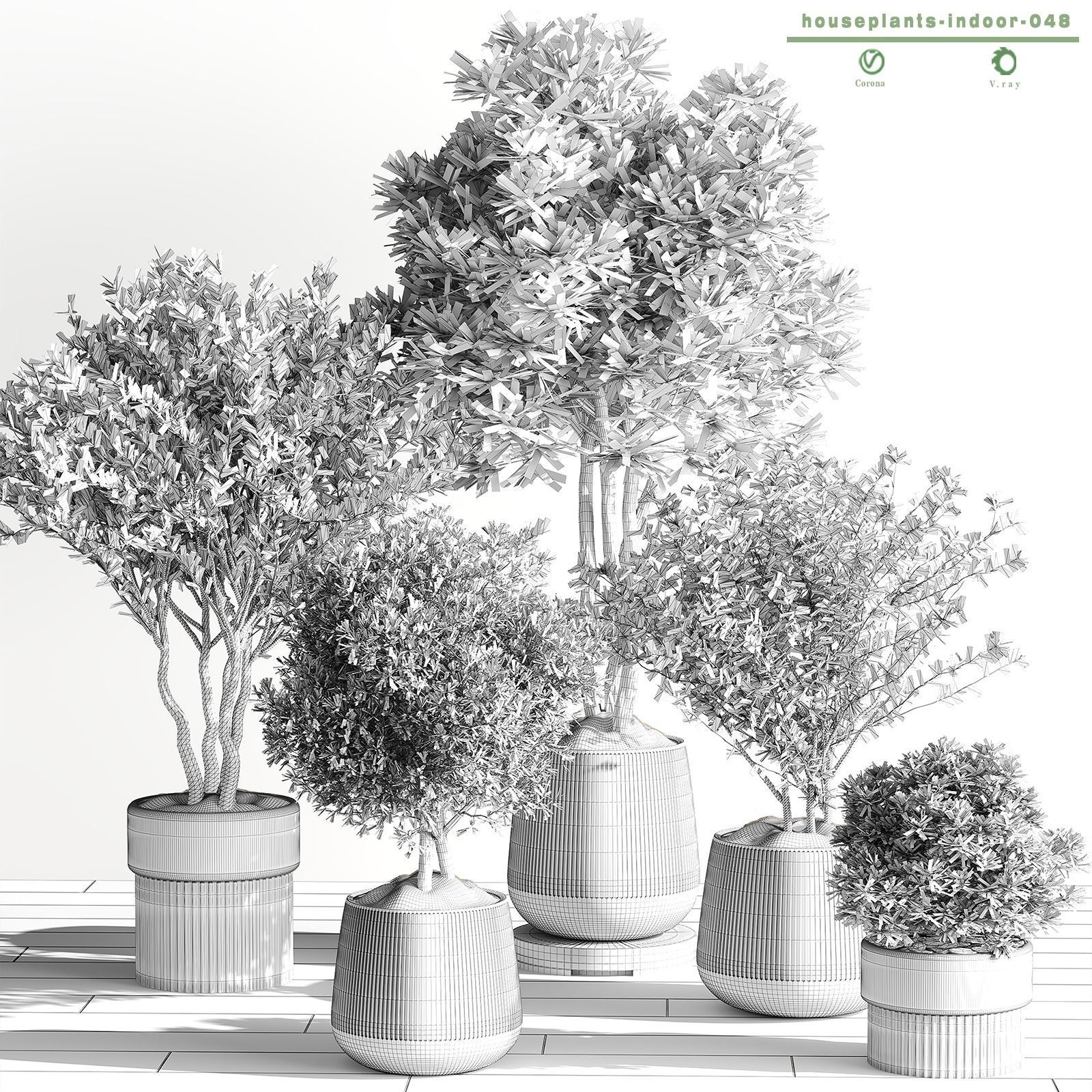 indoor plant 001 3D model_3