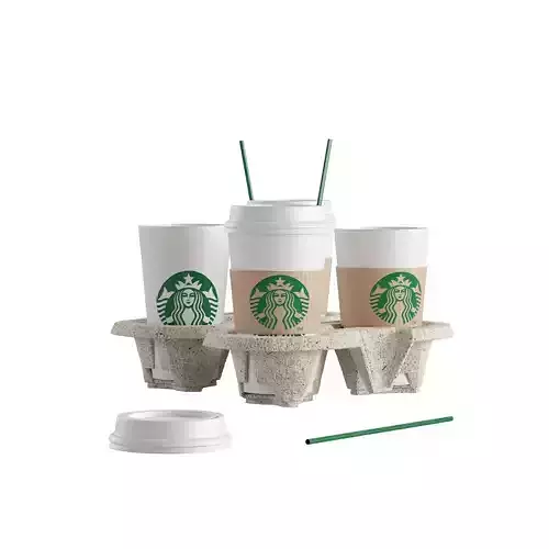 starbucks cup set