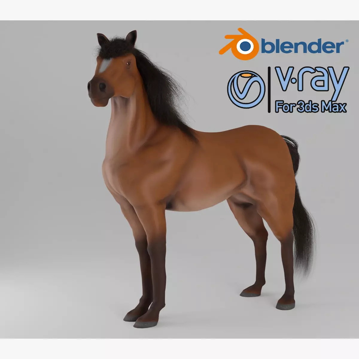 Horse 3D model_0