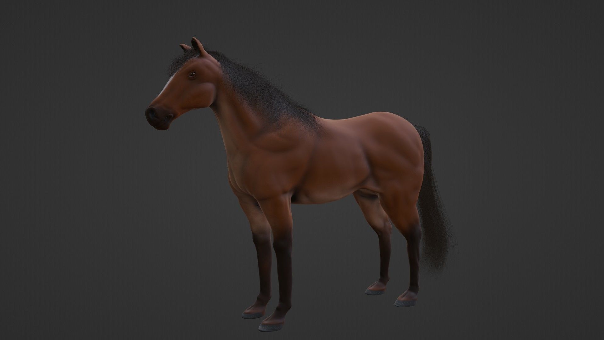 Horse 3D model_21
