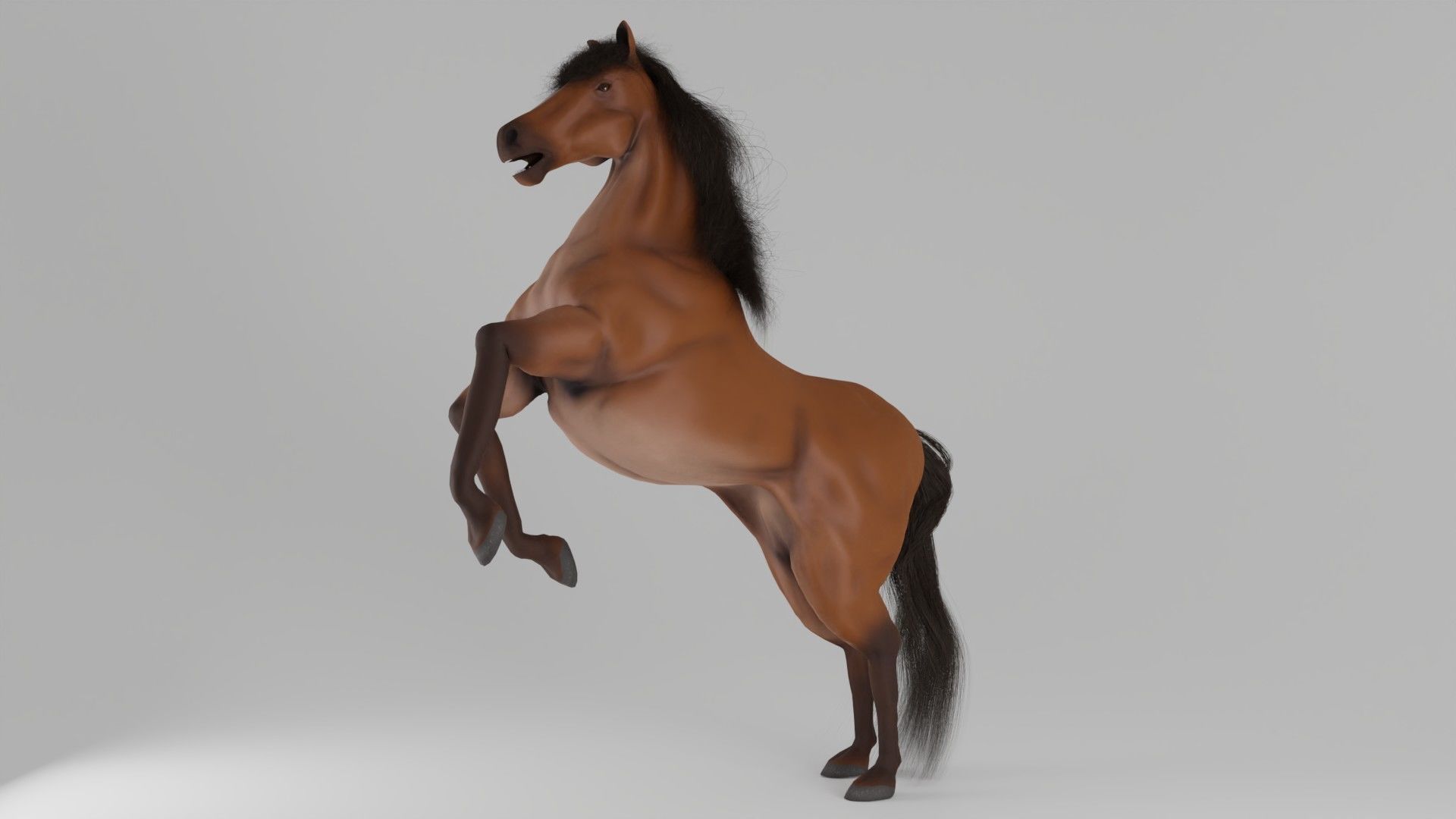 Horse 3D model_5