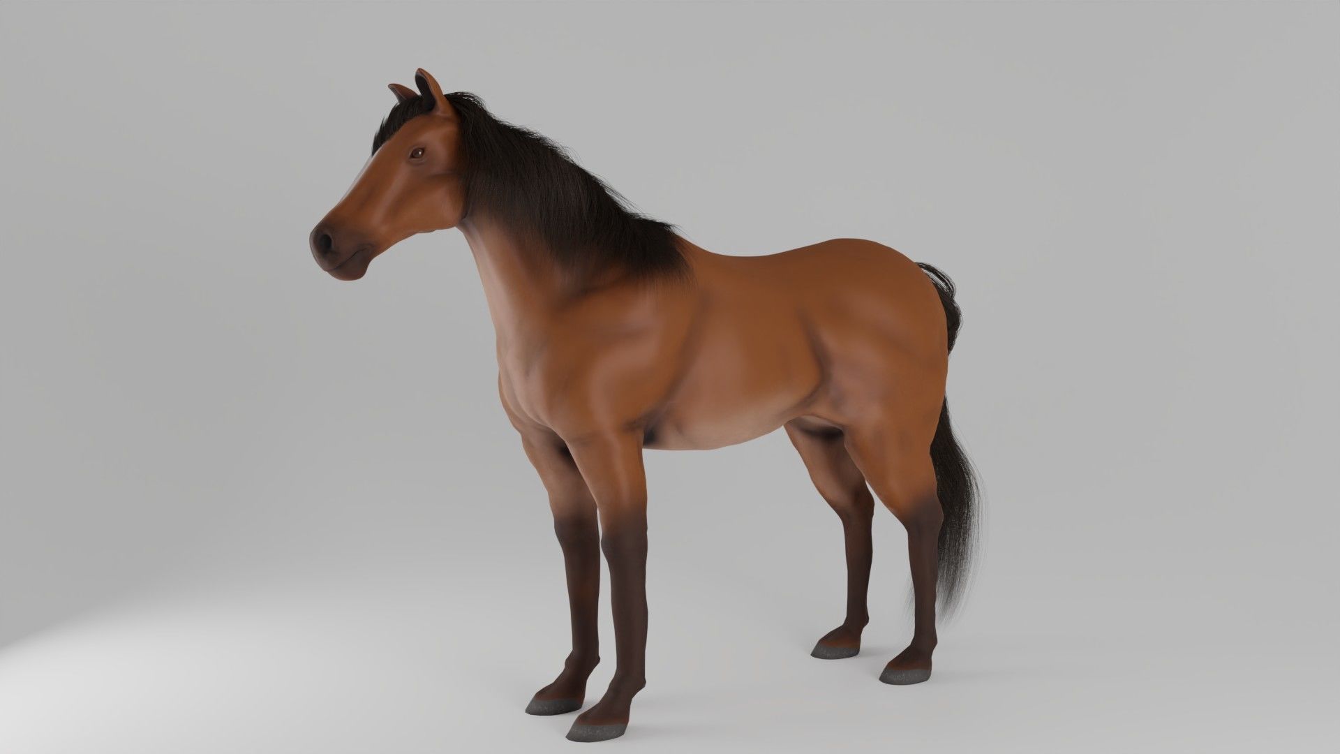 Horse 3D model_3