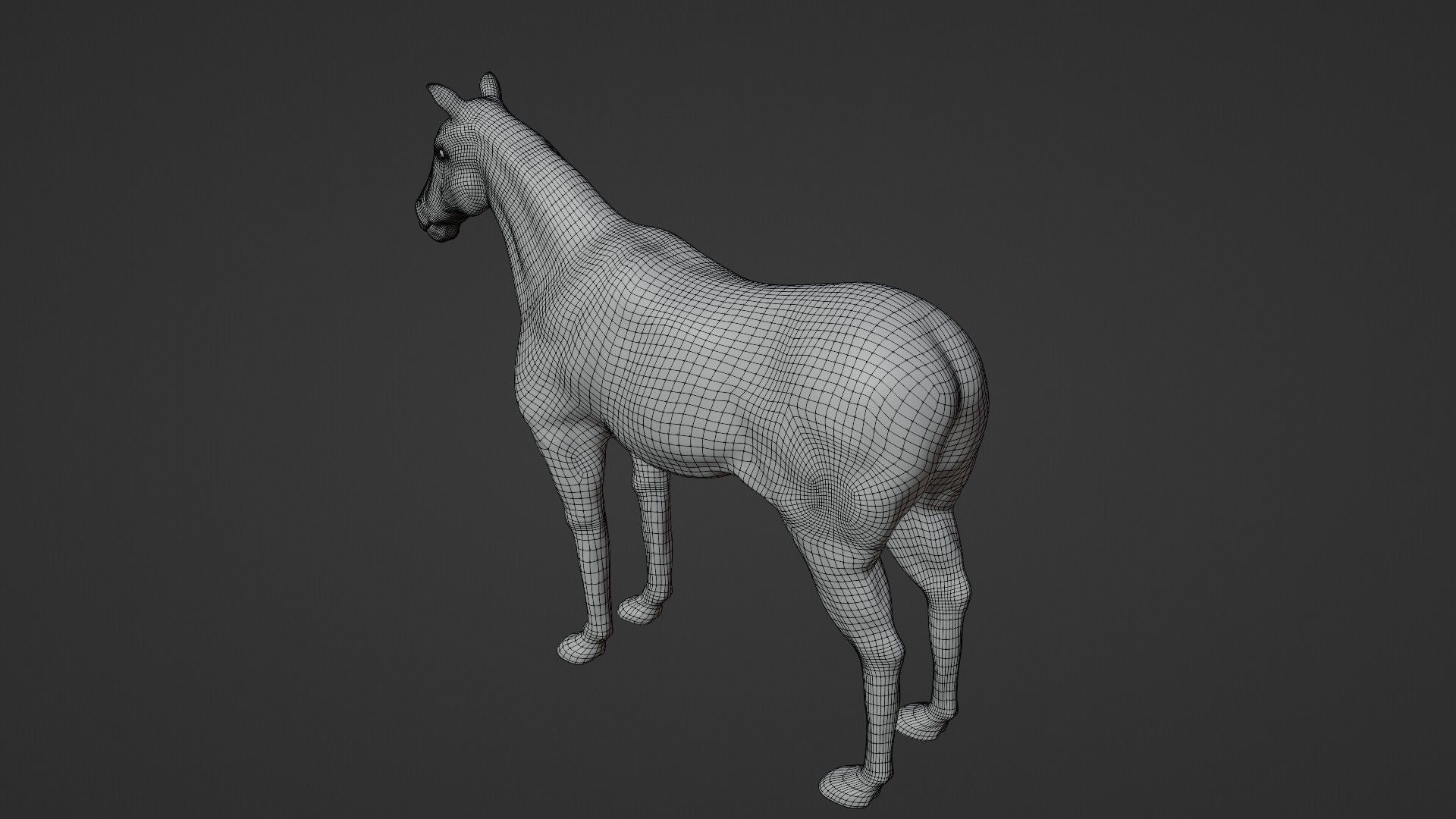 Horse 3D model_28