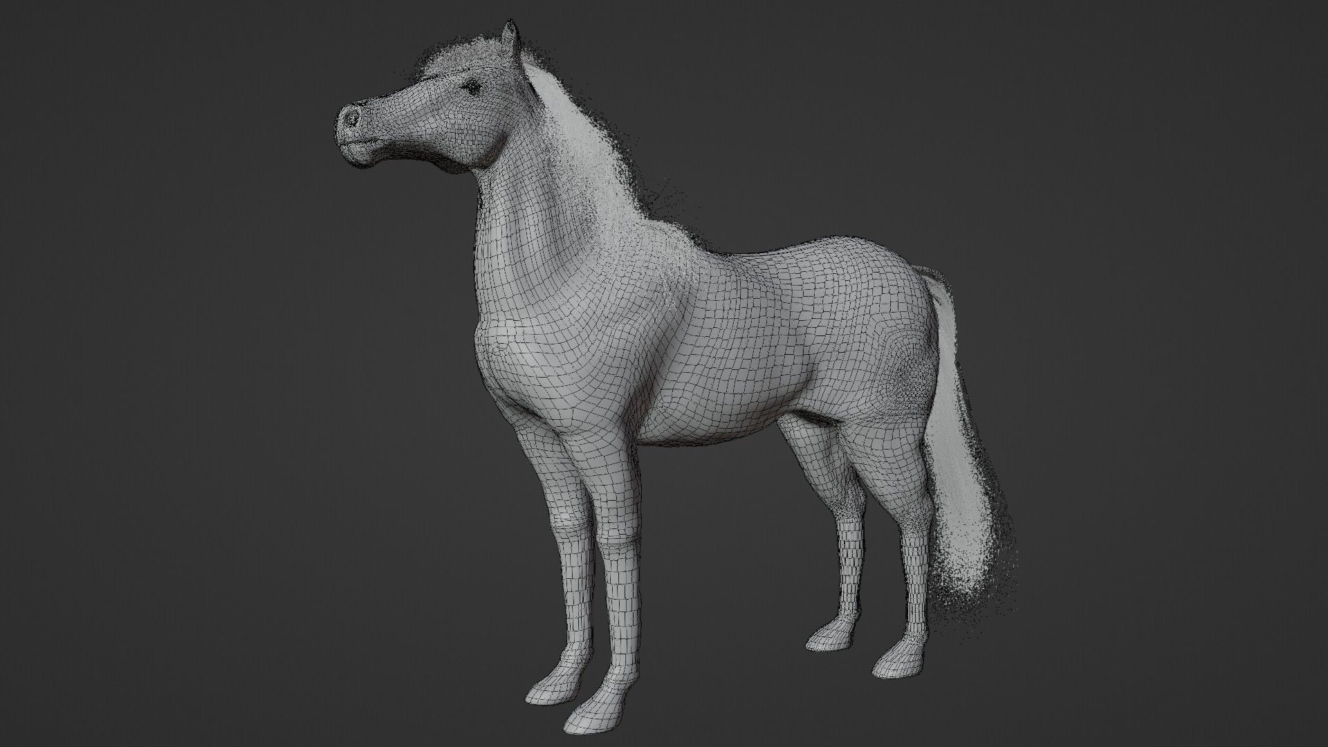 Horse 3D model_18