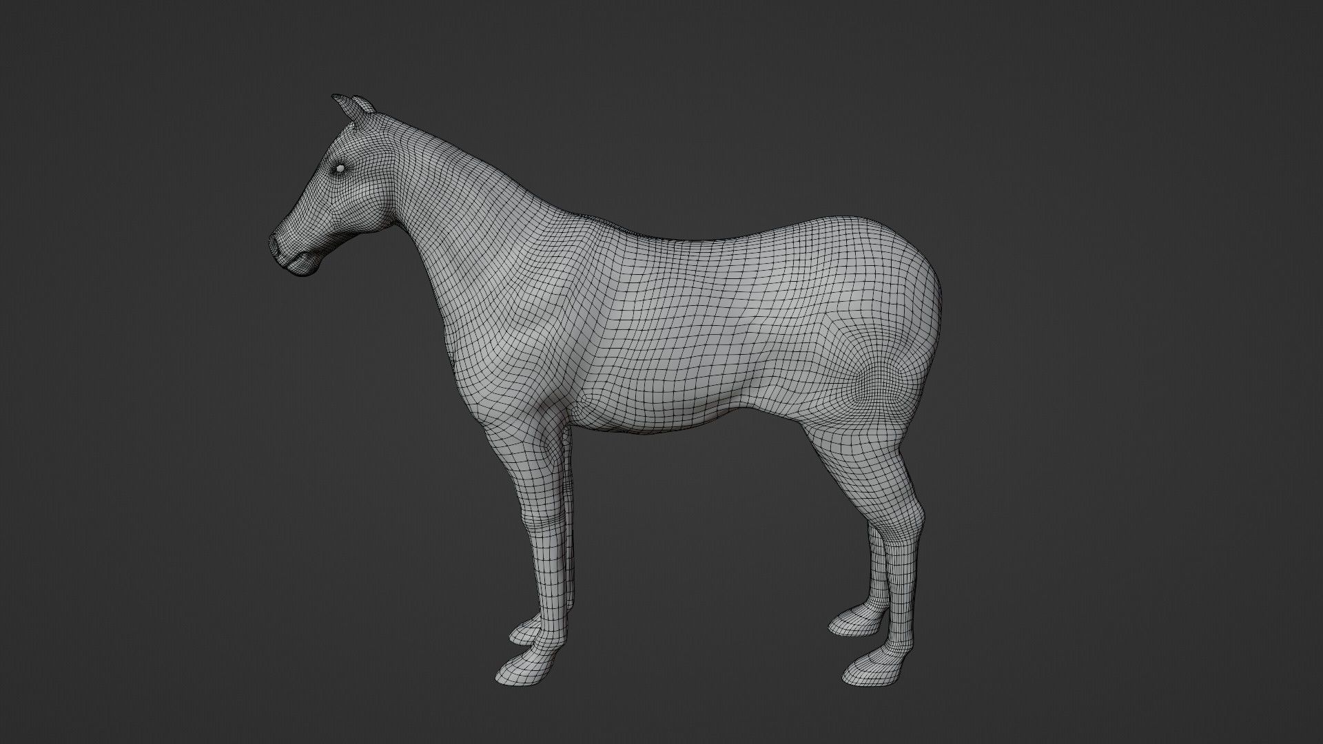 Horse 3D model_27