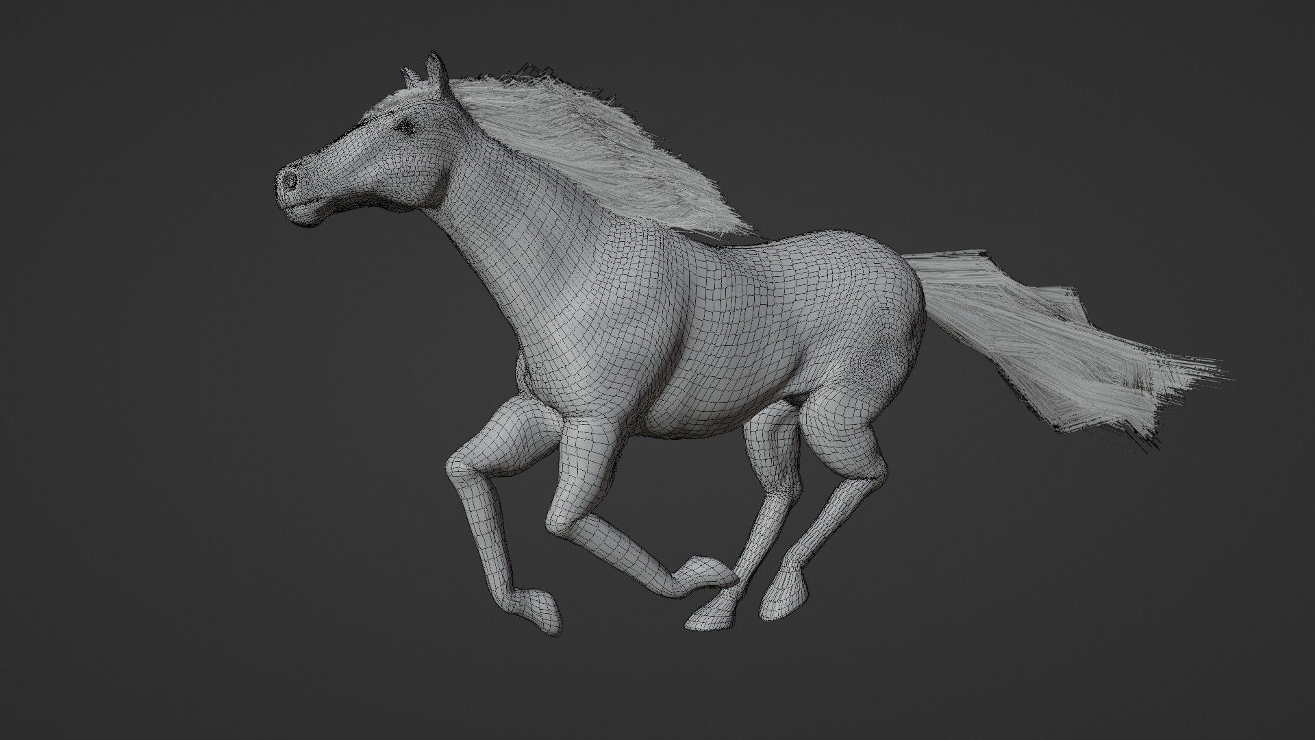 Horse 3D model_11