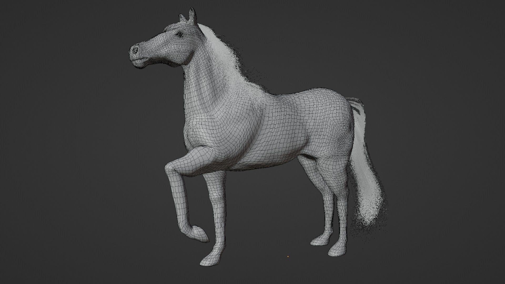 Horse 3D model_13