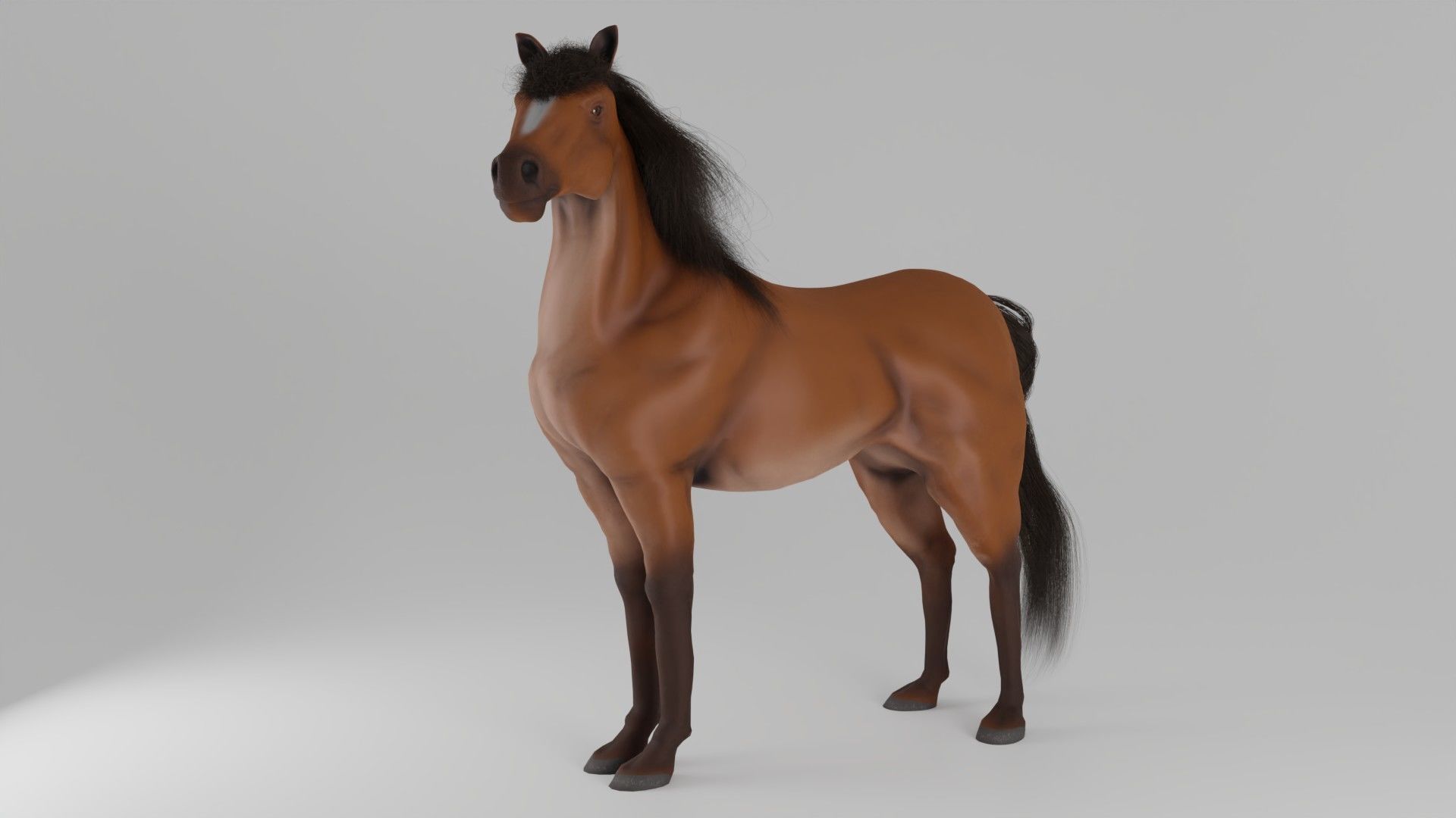 Horse 3D model_1