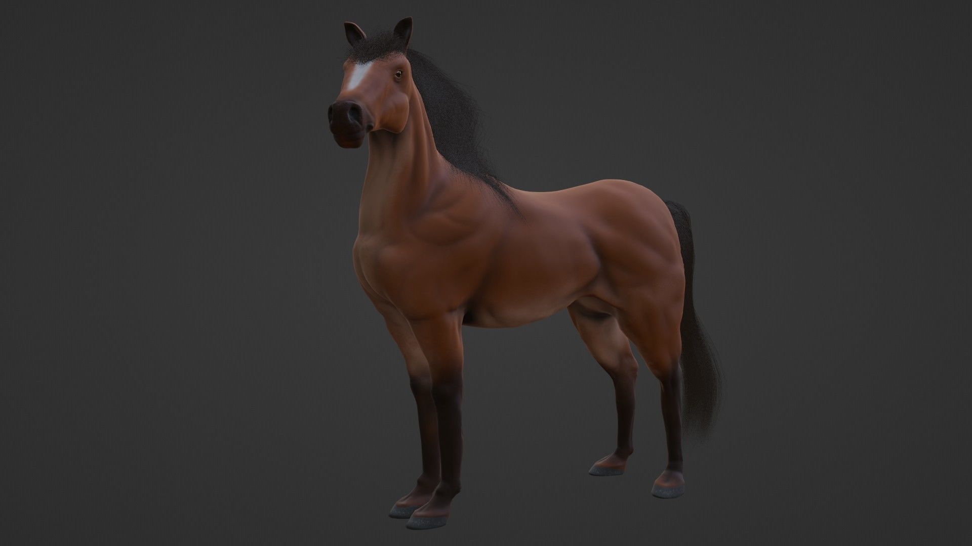 Horse 3D model_19