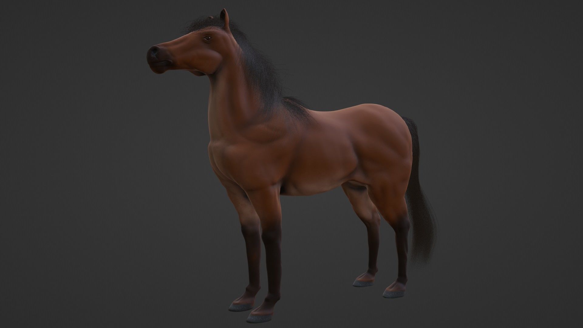 Horse 3D model_16