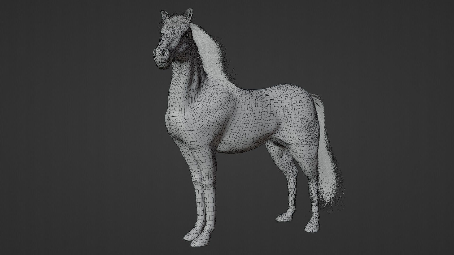Horse 3D model_20