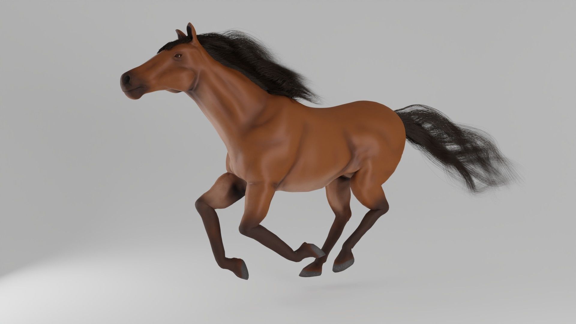 Horse 3D model_17