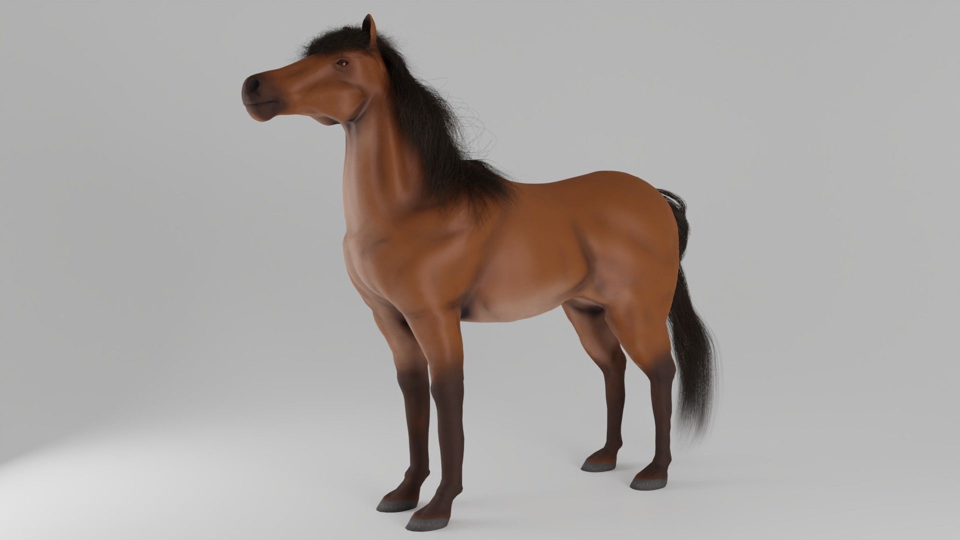 Horse 3D model_4