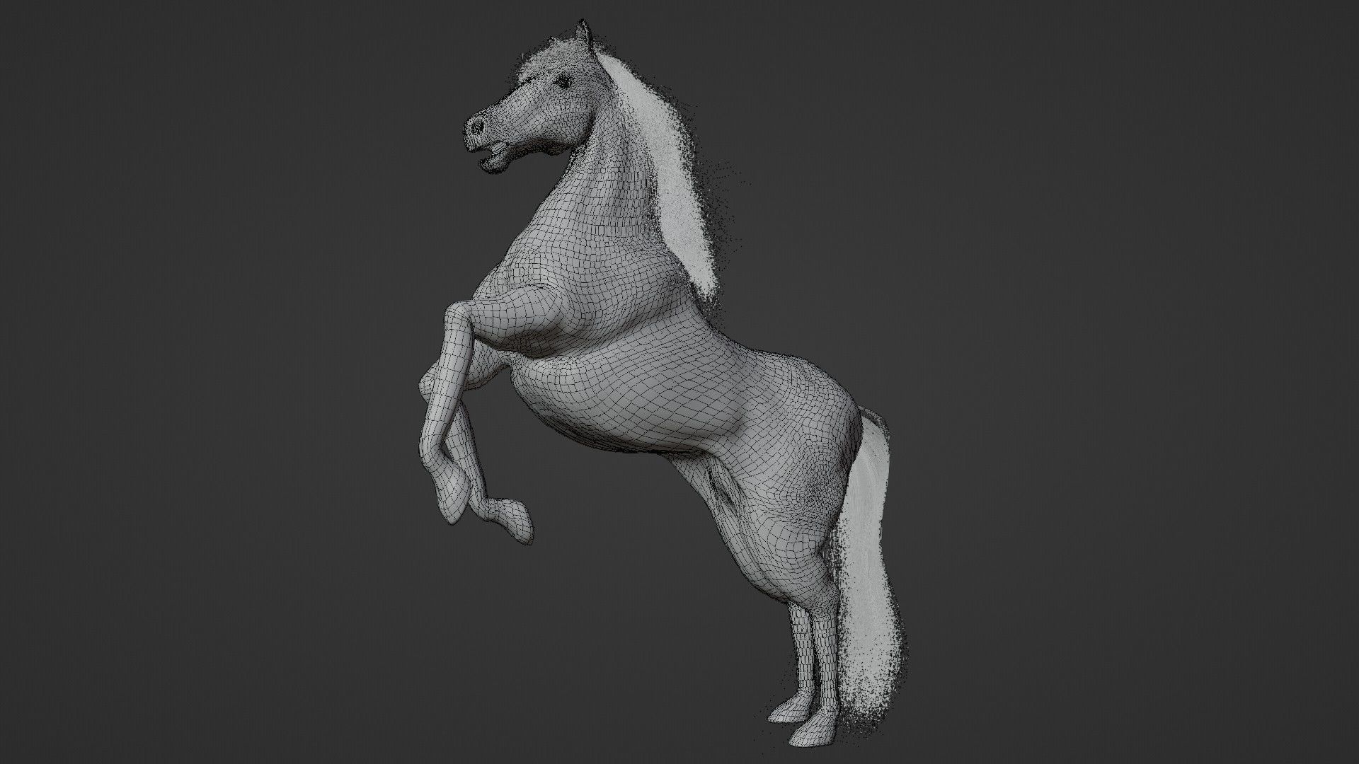 Horse 3D model_15