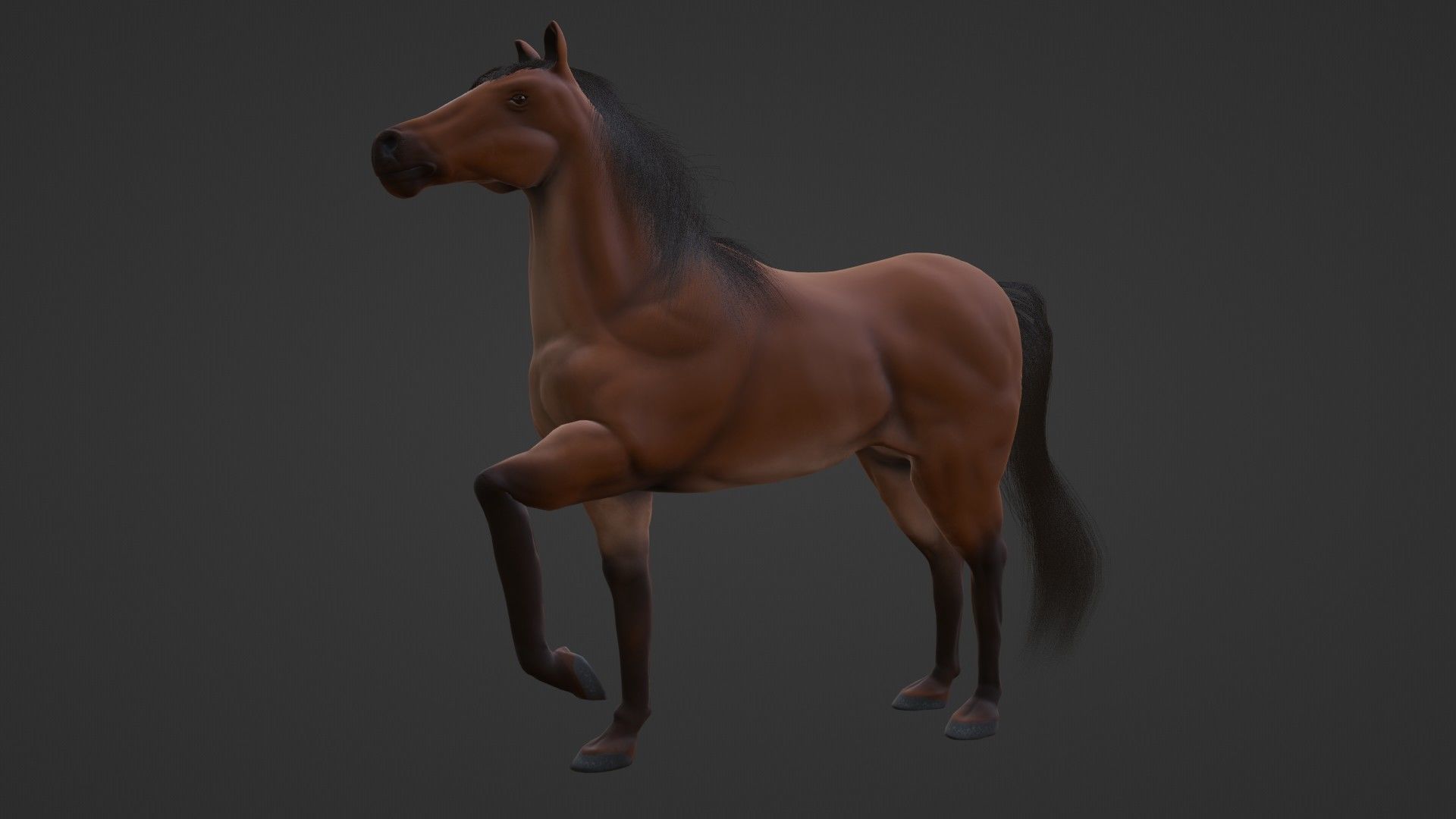 Horse 3D model_12
