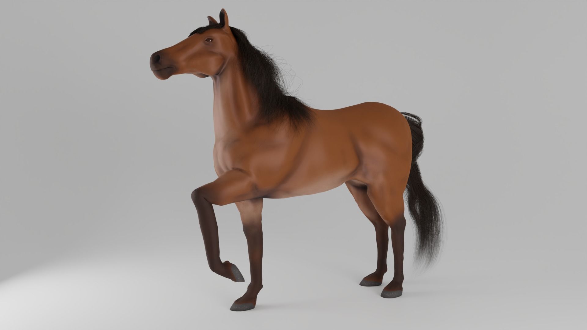 Horse 3D model_2