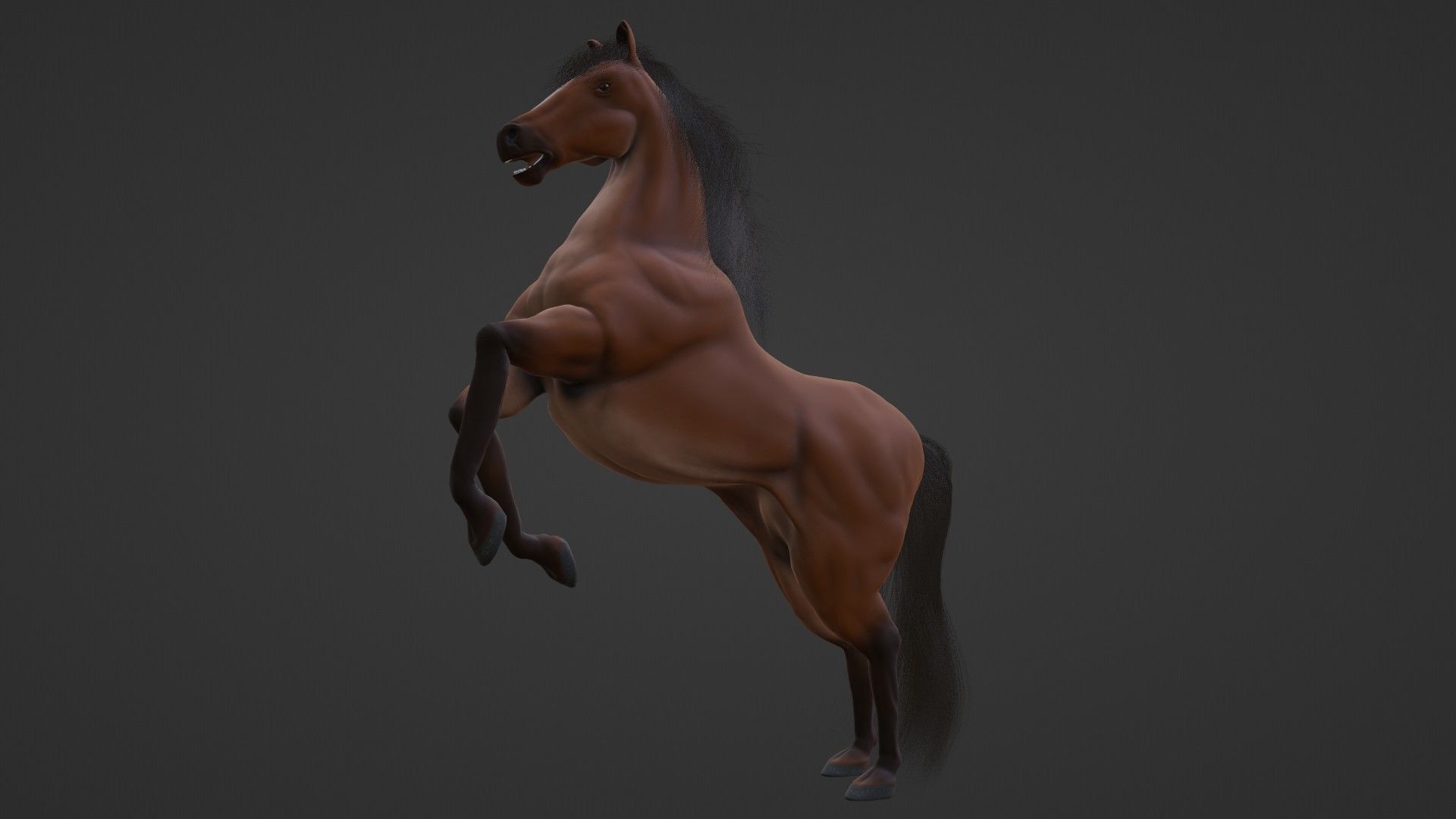 Horse 3D model_14