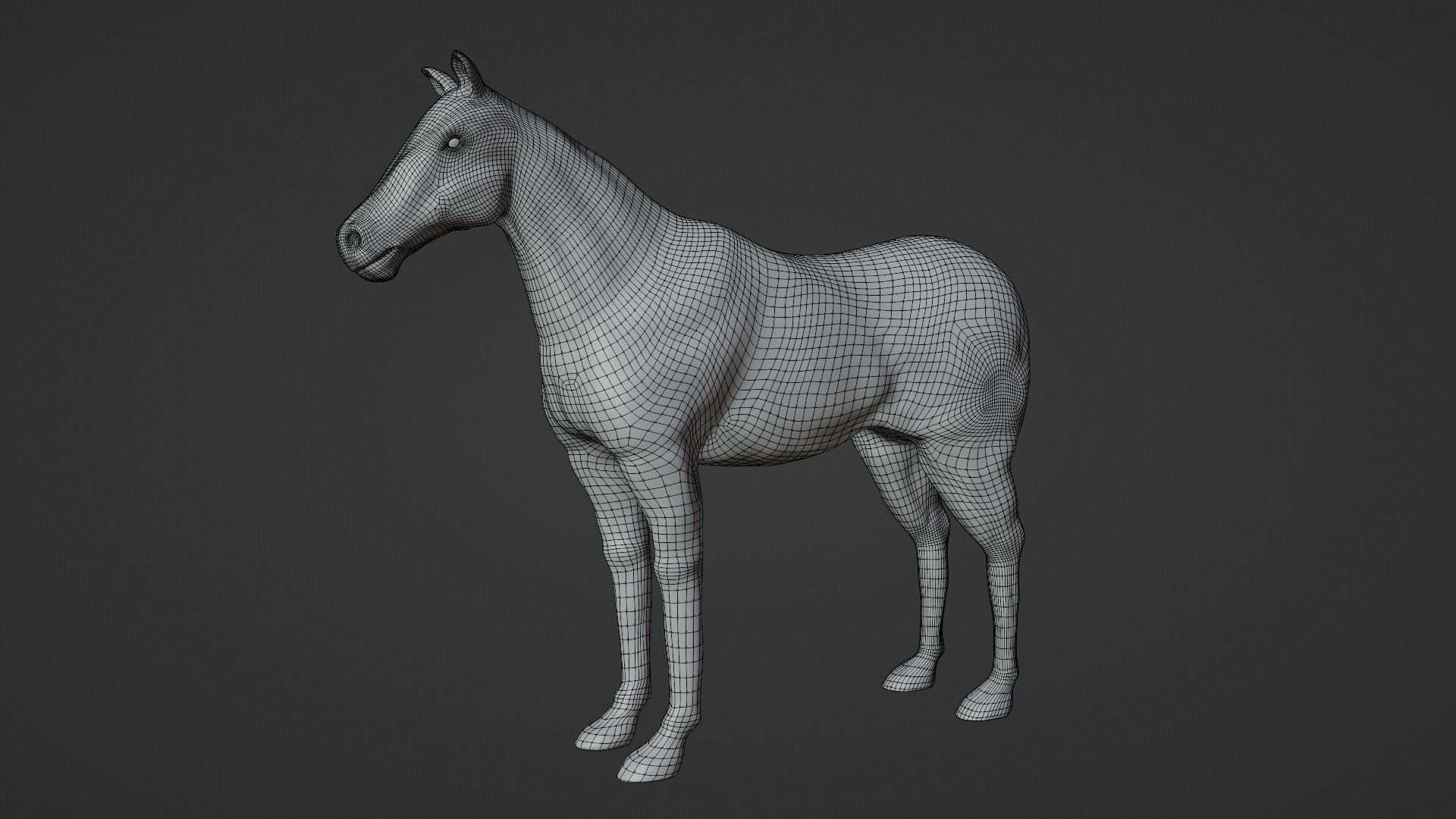 Horse 3D model_26