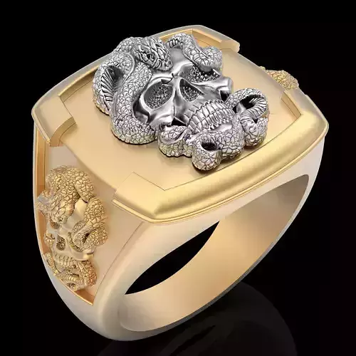 Skull snake Man Ring silver gold printable jewelry