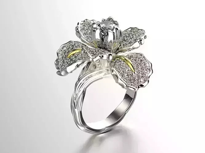 Iris fashion ring 0004